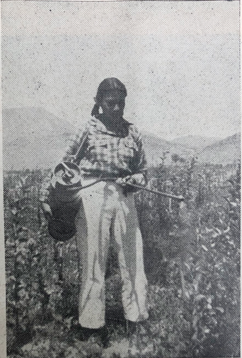 Las mujeres y el maíz / Alicia Mastretta Yanes
