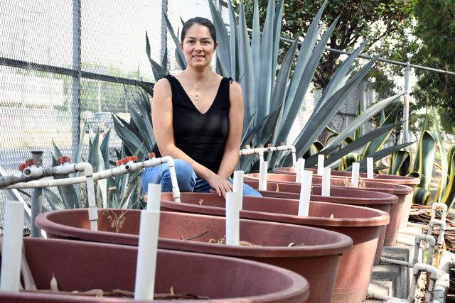 Humedales artificiales: eficientes y baratos para tratar aguas residuales / BUAP