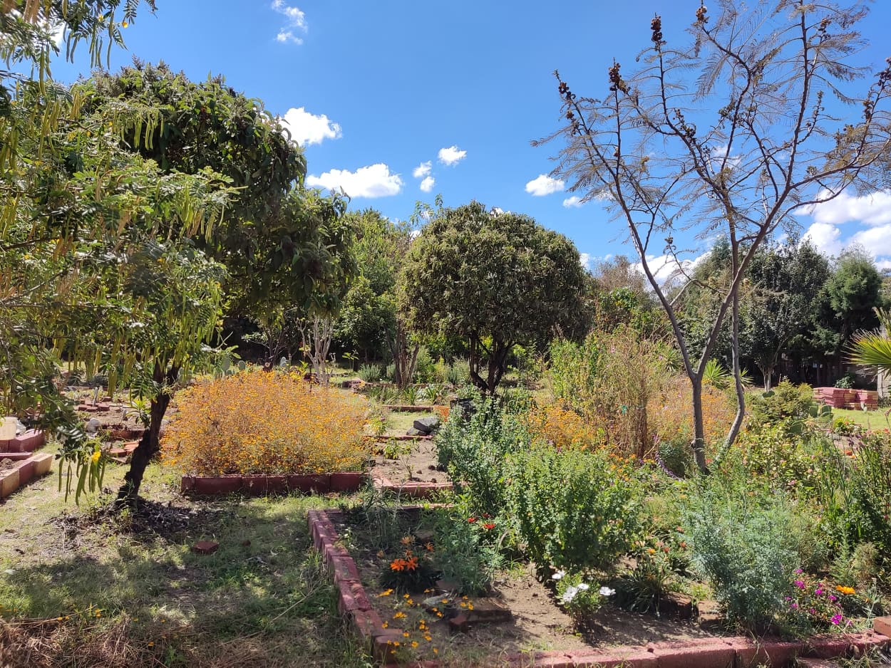 El jardín da una bocanada de aire fresco al caminante-Porfirio Tepox Cuatlayotl