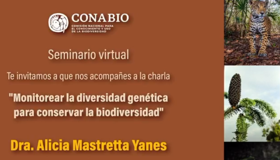 Monitorear la diversidad genética para conservar la biodiversidad / Alicia Mastretta Yanes