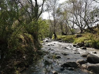Ibero Puebla y el río Atoyac: sus proyectos de investigación