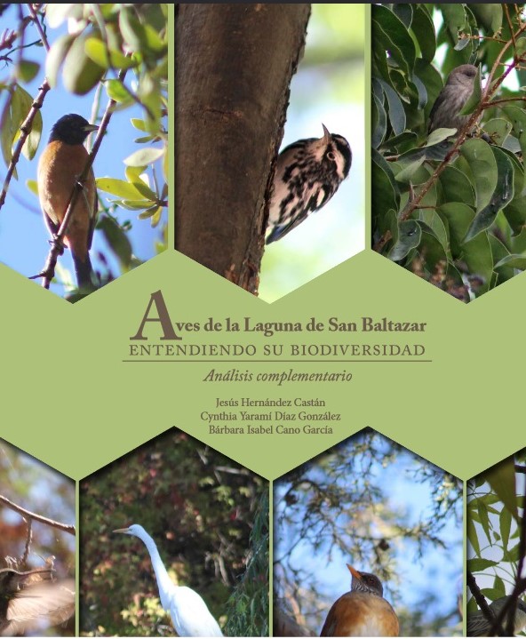 Aves de la Laguna de San Baltazar: entendiendo su biodiversidad