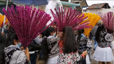 Flores de diciembre en Ixtepec, Puebla (VIDEO) / Manuel Espinosa Sainos 