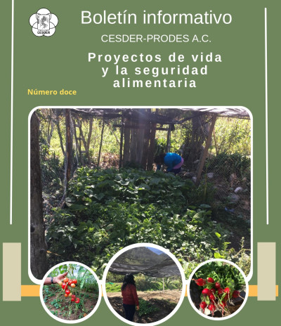  Proyectos de vida y la seguridad alimentaria / CESDER.PRODES A.C.