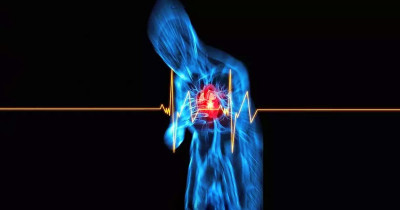 El síndrome del corazón roto / Revista Elementos BUAP 