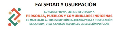 Candidatos a diputados indígenas: chapulines y usurpadores / Gerardo Pérez Muñoz