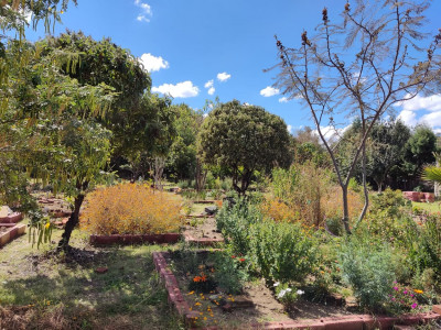 El jardín da una bocanada de aire fresco al caminante-Porfirio Tepox Cuatlayotl