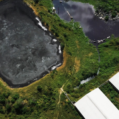 El decálogo ambiental: entre la realidad y las buenas intenciones  / Gerardo Pérez Muñoz