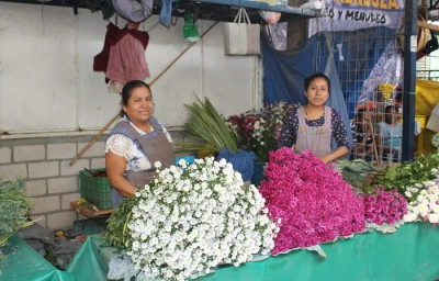 Mujeres oaxaqueñas en resitencia / Revista Medium-Ibero Puebla