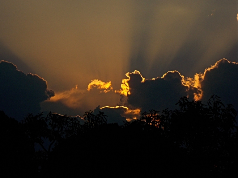 Más grande que el odio/Günter Petrak, escritor