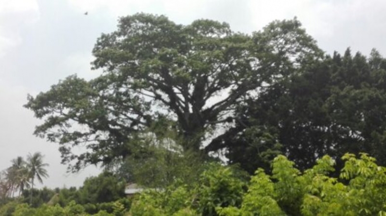 "El Virus"/jaime Sánchez Guzmán, ingeniero agrómomo y agricultor