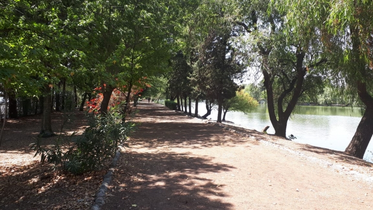 Nada más difícil que la sana distancia/Verónica Mastretta