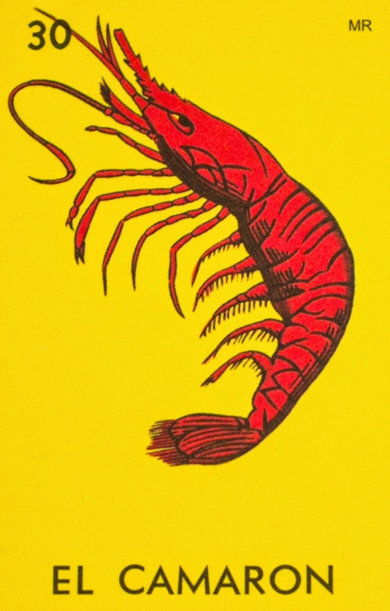 Manual para el encierro / Emma del Carmen