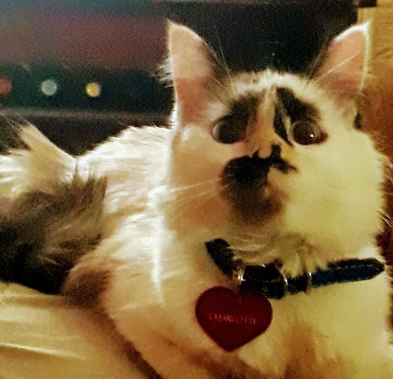 La revolución de mi cuarentena/Ruby Soriano, periodista