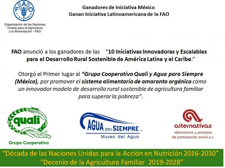 Premia la FAO al Grupo Cooperativo Qualli-Agua para Siempre: primer lugar como innovador en agricultura familiar sostenible en América Latina