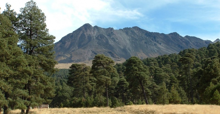 .@SEMARNAT_mx : No a la autorización de la tala de 33% del bosque del Nevado de Toluca