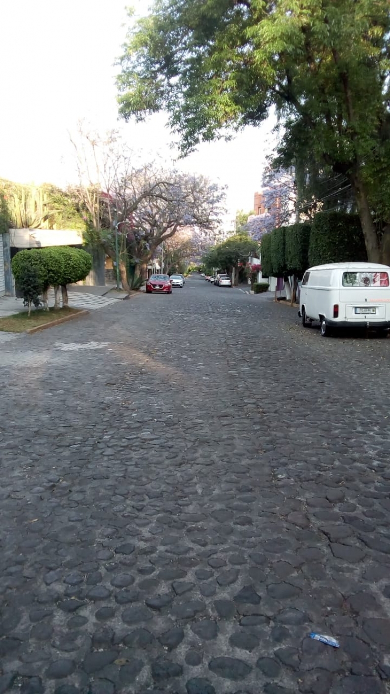 ¿No oyes ladrar los perros?/María Antonia Yanes Rizo, dramaturga