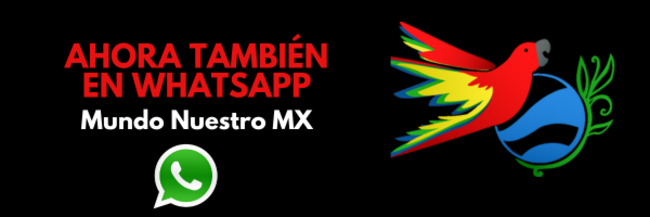 Anuncio cuerpo parrafo 6