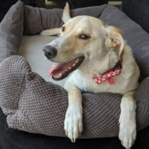 Picture of Kai Mastretta Haces