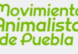 Picture of Movimiento Animalista de Puebla