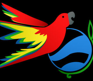 Picture of Colaborador invitado